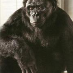 profile image of Anders Helth Hansen