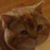 profile image of Lisbeth Christiansen
