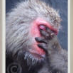 profile image of Morten B