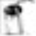 profile image of daretothink