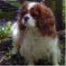 profile image of Olly Tolhurst