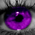 profile image of Shoppaholic