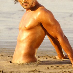 Arash