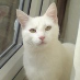 profile image of Casper Snugs