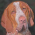 profile image of Jackie Carr Jones