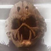 profile image of Lars Bo Lunoe