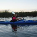 profile image of Alison Sweetman