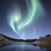 profile image of Aurora