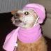 profile image of Elaine Livingstone