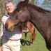 profile image of Peter Brown