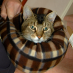 profile image of Kat in 't mandje
