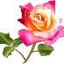 profile image of Alisha