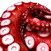 profile image of Diedra Ashthorn