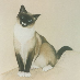 profile image of James