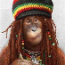 profile image of Stew