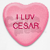 profile image of Cesar