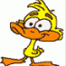 ScruffyDuck