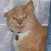 profile image of David Johnson