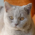 profile image of Barbara