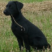 profile image of Zoe Brown