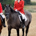 profile image of Kathrine Frosted