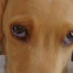 profile image of Heather Leigh