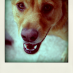 Geraldine