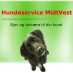 Hanne Lüchow, Hundeservice MidtVest