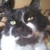 profile image of Dugi Gavieiro-Collins