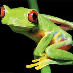 profile image of Florian