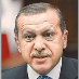 profile image of Erhan Yuksel