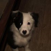 profile image of Foster Paul
