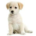 profile image of claudia