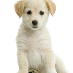 Catherina R