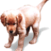 profile image of Roger from Swindon