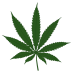 profile image of Tommy Brown