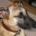 profile image of Denise