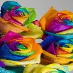 profile image of mayanglj17