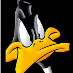 profile image of Phil Irving
