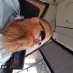 profile image of Thomas Hjort