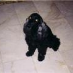 profile image of Lasandra Bombin-Wright