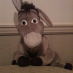 Fiona.H