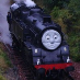 profile image of Allan Knaik