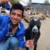profile image of Umair Mahmood