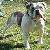 profile image of Charles