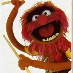 profile image of Caz Fitzherbert
