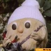 profile image of Jo Phillips