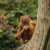 profile image of Dan Thurgood