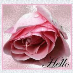 profile image of Stephanie Armour