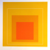 profile image of PT